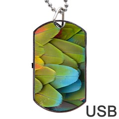 Parrot Feathers Texture Feathers Backgrounds Dog Tag Usb Flash (two Sides) by nateshop