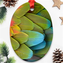 Parrot Feathers Texture Feathers Backgrounds Ornament (oval) by nateshop