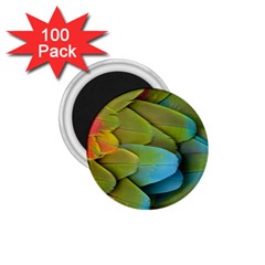 Parrot Feathers Texture Feathers Backgrounds 1 75  Magnets (100 Pack)  by nateshop