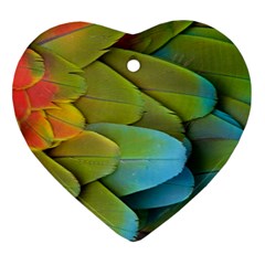 Parrot Feathers Texture Feathers Backgrounds Ornament (heart) by nateshop