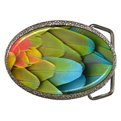 Parrot Feathers Texture Feathers Backgrounds Belt Buckles