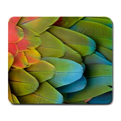 Parrot Feathers Texture Feathers Backgrounds Large Mousepad by nateshop