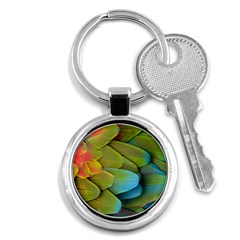 Parrot Feathers Texture Feathers Backgrounds Key Chain (round) by nateshop