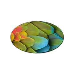 Parrot Feathers Texture Feathers Backgrounds Sticker Oval (10 Pack) by nateshop