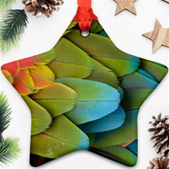 Parrot Feathers Texture Feathers Backgrounds Star Ornament (two Sides) by nateshop