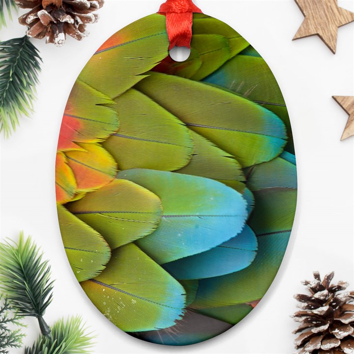 Parrot Feathers Texture Feathers Backgrounds Oval Ornament (Two Sides)