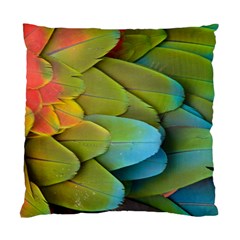 Parrot Feathers Texture Feathers Backgrounds Standard Cushion Case (two Sides) by nateshop