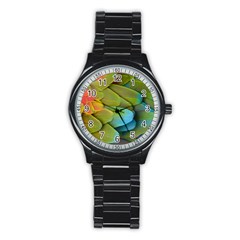 Parrot Feathers Texture Feathers Backgrounds Stainless Steel Round Watch by nateshop