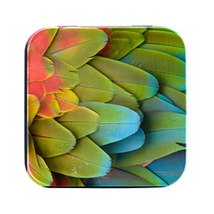 Parrot Feathers Texture Feathers Backgrounds Square Metal Box (black) by nateshop