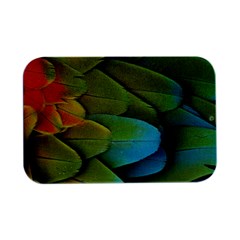 Parrot Feathers Texture Feathers Backgrounds Open Lid Metal Box (silver)   by nateshop