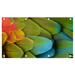 Parrot Feathers Texture Feathers Backgrounds Banner And Sign 7  X 4  by nateshop