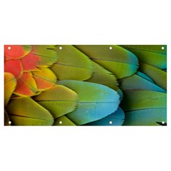 Parrot Feathers Texture Feathers Backgrounds Banner And Sign 8  X 4  by nateshop