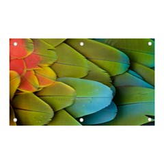 Parrot Feathers Texture Feathers Backgrounds Banner And Sign 5  X 3  by nateshop