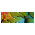 Parrot Feathers Texture Feathers Backgrounds Banner and Sign 6  x 2  Front