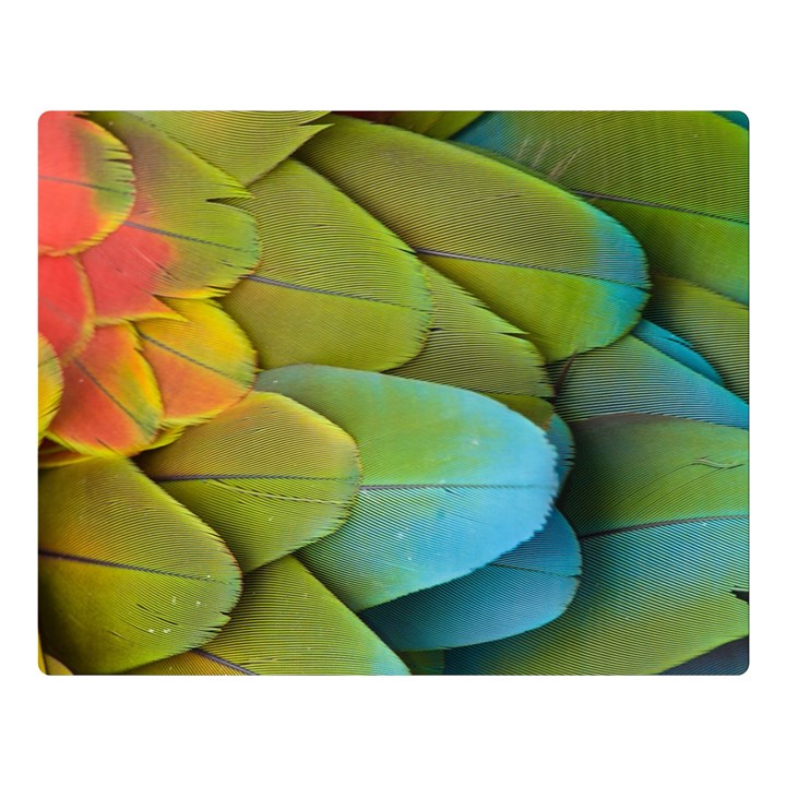 Parrot Feathers Texture Feathers Backgrounds Premium Plush Fleece Blanket (Large)