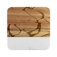 Parrot Feathers Texture Feathers Backgrounds Marble Wood Coaster (square) by nateshop