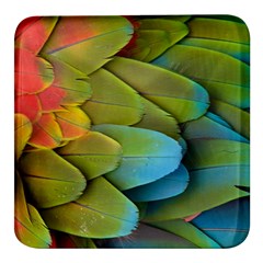 Parrot Feathers Texture Feathers Backgrounds Square Glass Fridge Magnet (4 Pack) by nateshop