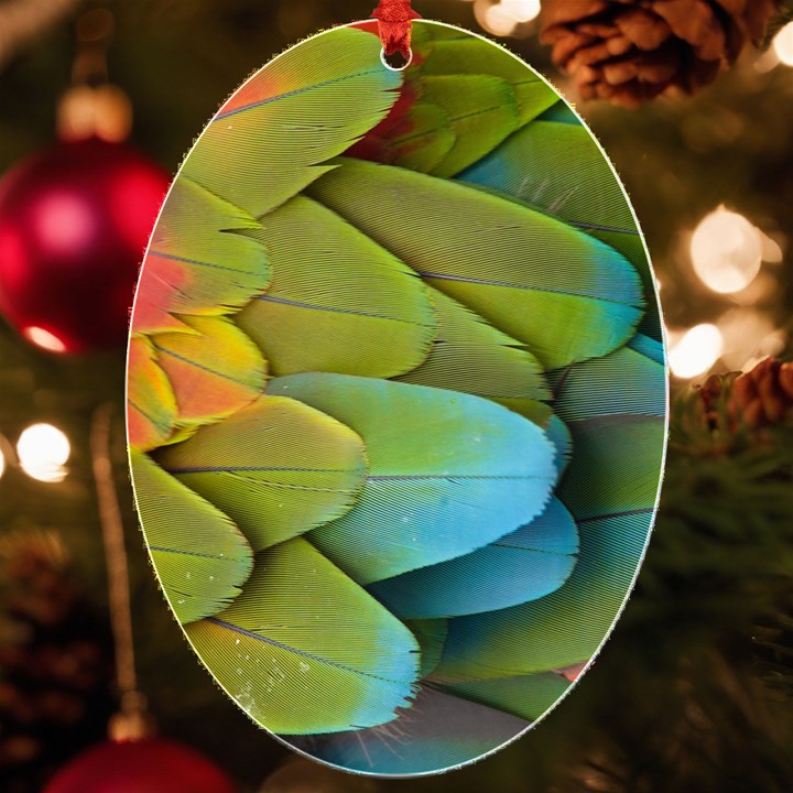 Parrot Feathers Texture Feathers Backgrounds UV Print Acrylic Ornament Oval