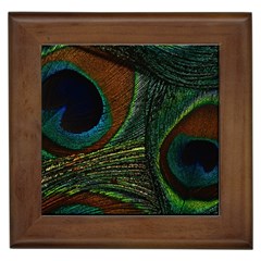 Peacock Feathers, Feathers, Peacock Nice Framed Tile by nateshop