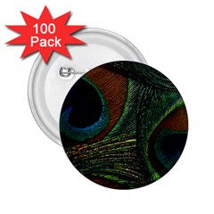 Peacock Feathers, Feathers, Peacock Nice 2 25  Buttons (100 Pack)  by nateshop