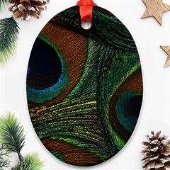 Peacock Feathers, Feathers, Peacock Nice Ornament (oval) by nateshop