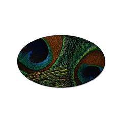 Peacock Feathers, Feathers, Peacock Nice Sticker (oval) by nateshop