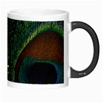 Peacock Feathers, Feathers, Peacock Nice Morph Mug Right