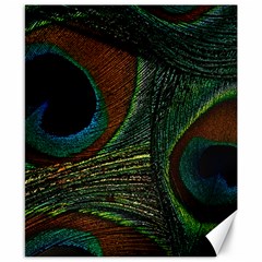 Peacock Feathers, Feathers, Peacock Nice Canvas 8  X 10  by nateshop