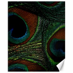 Peacock Feathers, Feathers, Peacock Nice Canvas 11  X 14  by nateshop