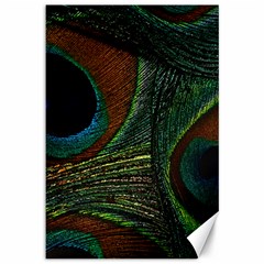 Peacock Feathers, Feathers, Peacock Nice Canvas 12  X 18  by nateshop