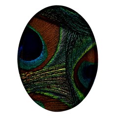 Peacock Feathers, Feathers, Peacock Nice Oval Glass Fridge Magnet (4 Pack) by nateshop