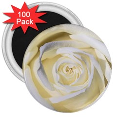 White Roses Flowers Plant Romance Blossom Bloom Nature Flora Petals 3  Magnets (100 Pack) by Proyonanggan