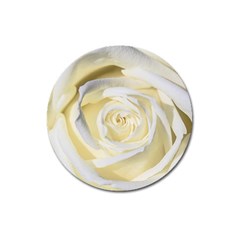 White Roses Flowers Plant Romance Blossom Bloom Nature Flora Petals Magnet 3  (round) by Proyonanggan