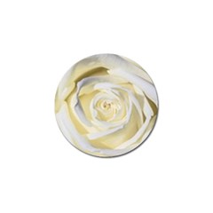 White Roses Flowers Plant Romance Blossom Bloom Nature Flora Petals Golf Ball Marker (4 Pack) by Proyonanggan