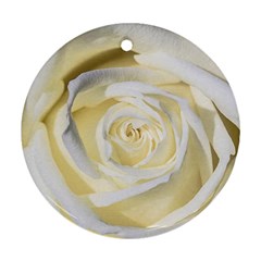 White Roses Flowers Plant Romance Blossom Bloom Nature Flora Petals Round Ornament (two Sides) by Proyonanggan