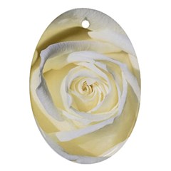 White Roses Flowers Plant Romance Blossom Bloom Nature Flora Petals Oval Ornament (two Sides) by Proyonanggan