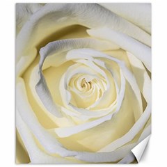 White Roses Flowers Plant Romance Blossom Bloom Nature Flora Petals Canvas 8  X 10  by Proyonanggan