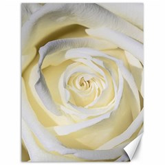 White Roses Flowers Plant Romance Blossom Bloom Nature Flora Petals Canvas 12  X 16  by Proyonanggan