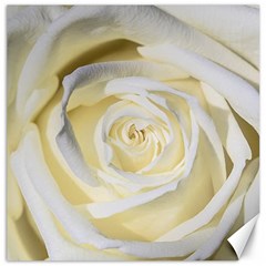 White Roses Flowers Plant Romance Blossom Bloom Nature Flora Petals Canvas 16  X 16  by Proyonanggan