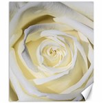 White Roses Flowers Plant Romance Blossom Bloom Nature Flora Petals Canvas 20  x 24  19.57 x23.15  Canvas - 1