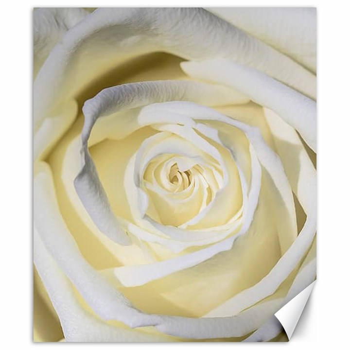 White Roses Flowers Plant Romance Blossom Bloom Nature Flora Petals Canvas 20  x 24 