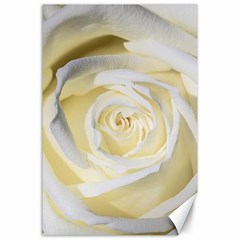 White Roses Flowers Plant Romance Blossom Bloom Nature Flora Petals Canvas 24  X 36  by Proyonanggan