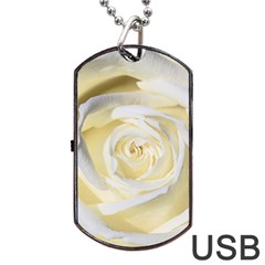 White Roses Flowers Plant Romance Blossom Bloom Nature Flora Petals Dog Tag Usb Flash (two Sides) by Proyonanggan