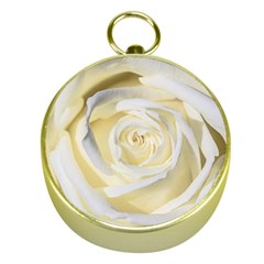 White Roses Flowers Plant Romance Blossom Bloom Nature Flora Petals Gold Compasses by Proyonanggan