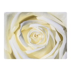 White Roses Flowers Plant Romance Blossom Bloom Nature Flora Petals Two Sides Premium Plush Fleece Blanket (mini)