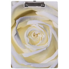 White Roses Flowers Plant Romance Blossom Bloom Nature Flora Petals A4 Acrylic Clipboard by Proyonanggan