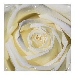 White Roses Flowers Plant Romance Blossom Bloom Nature Flora Petals Banner And Sign 3  X 3  by Proyonanggan