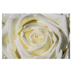 White Roses Flowers Plant Romance Blossom Bloom Nature Flora Petals Banner And Sign 6  X 4  by Proyonanggan