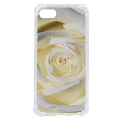 White Roses Flowers Plant Romance Blossom Bloom Nature Flora Petals Iphone Se by Proyonanggan