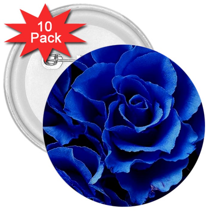 Blue Roses Flowers Plant Romance Blossom Bloom Nature Flora Petals 3  Buttons (10 pack) 